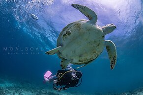 Club Hari Dive Resort