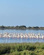 Captivating Studio in Halikounas, Greece