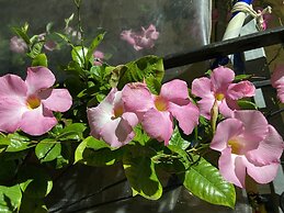 Captivating Studio in Halikounas, Greece