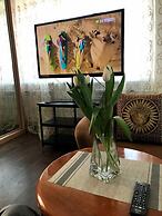 Cozy apartment for you