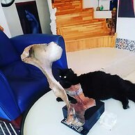 No 1 House By Valence