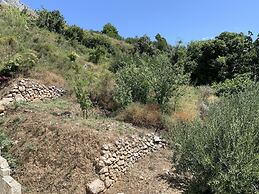 Apartments Mate with pool