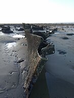 Pets go Free 3 Bedroom Caravan at Heacham Beach