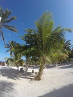 Caribbean Casa Blanca