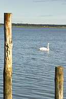 Ferienhaus Waldblick