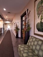 Western Budget Leduc 3