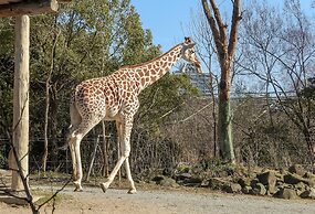 At RLiS House Tsutenkaku
