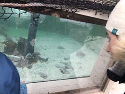 Panorama Hotel & Resort