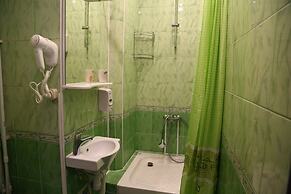 Mini hotel Artist on Baumanskaya - Hostel