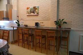 Mini hotel Artist on Baumanskaya - Hostel