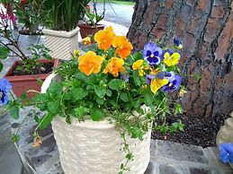 Pousada Vida e Natureza