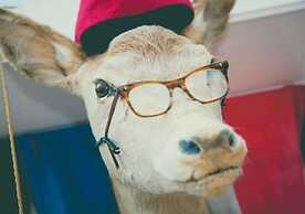 2 Bedroom House Next to the Sea, Lots of Fun!