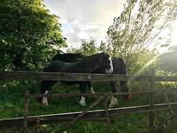 Unique Fairytale Farmhouse Near Galway