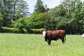 Rowley Farm Holidays