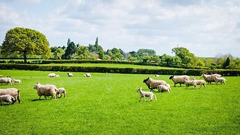 Rowley Farm Holidays