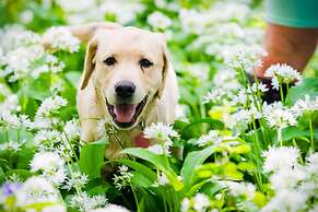 Rowley Farm Holidays