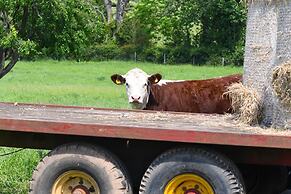 Rowley Farm Holidays