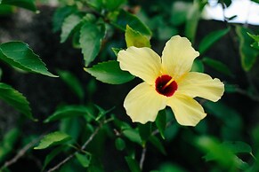 Pousada Hibiscus