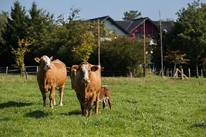 Landgasthof Gut Marienbildchen