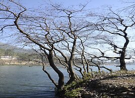 Rosefinch Sarovar Portico Bhimtal