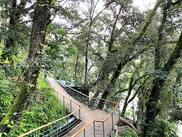 Rosefinch Sarovar Portico Bhimtal