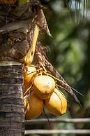 Domaine Desaubin Luxury Villas