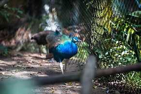 Domaine Desaubin Luxury Villas