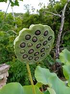 Domaine Desaubin Luxury Villas