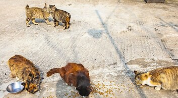 Namhae Cham Joeun Pension