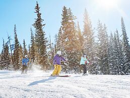 Renovated Studio- Kids Ski Free & On Shuttle Route! Studio Bedroom Con