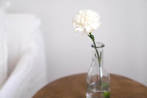 Hotel Ca s'Arader - Adults Only