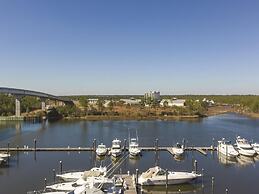 The Wharf 521 by Youngs Suncoast