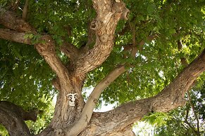 Inn at Tamarind Court