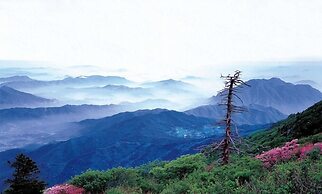 Muju Cherish Pension