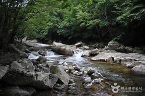 Muju Cherish Pension