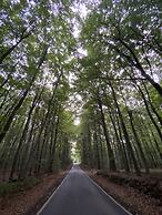 K357 - Monteurhotel Ostsee Lounge