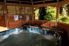 Bella Vista Motel Fox Glacier