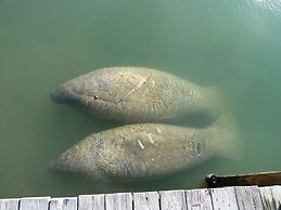 Seascape Resort & Marina