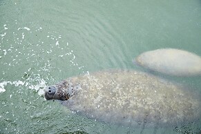 Seascape Resort & Marina