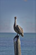 Seascape Resort & Marina