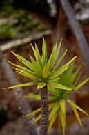 Boutique Hotel El Tio Kiko