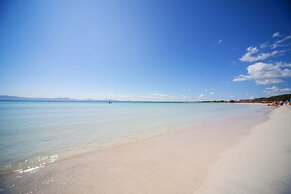 Ferrer Lime Tamarindos