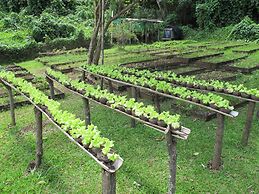 Matava - Fiji...Untouched