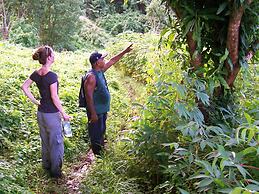 Matava - Fiji...Untouched