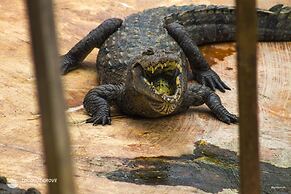 Coconut Grove Beach Resort