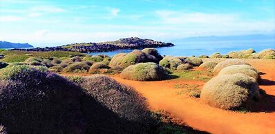 Zorbas Beach Village Hotel