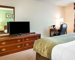 Comfort Inn Goshen