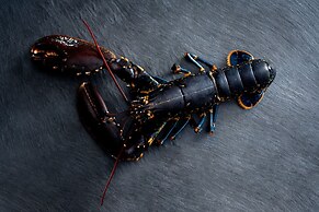 The Ritz-Carlton, Hong Kong