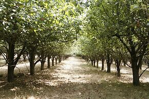 Parador Casa da Ínsua