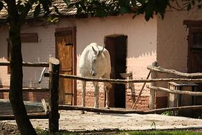 Apartments Vrata Baranje